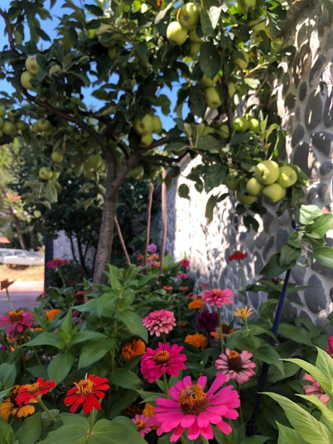Hotel Apostoli Përmet 외부 사진